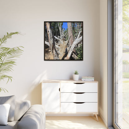 Forest Sentinels - Unique Stretched Canvas Wall Art