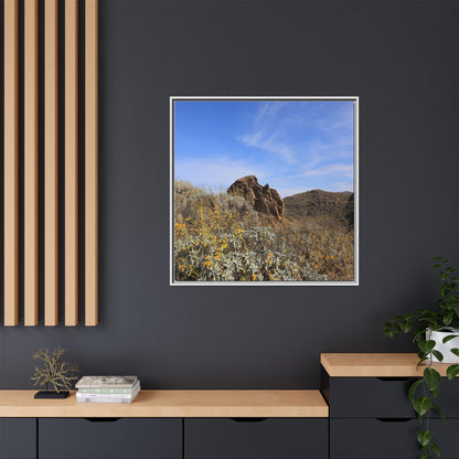 Golden Flowers in Arid Landscape - Unique Stretched Canvas Wall Art - Art By Earth