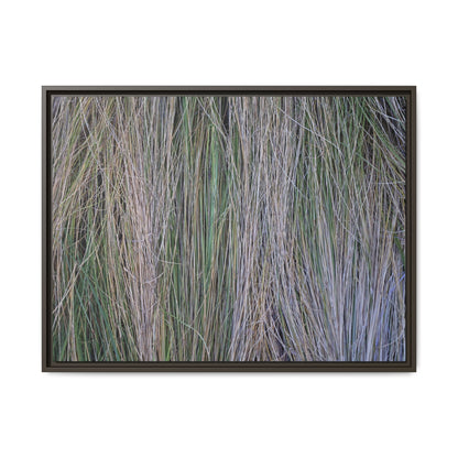 Whispers of Silver Grass - Unique Stretched Canvas Wall Art - Art By Earth