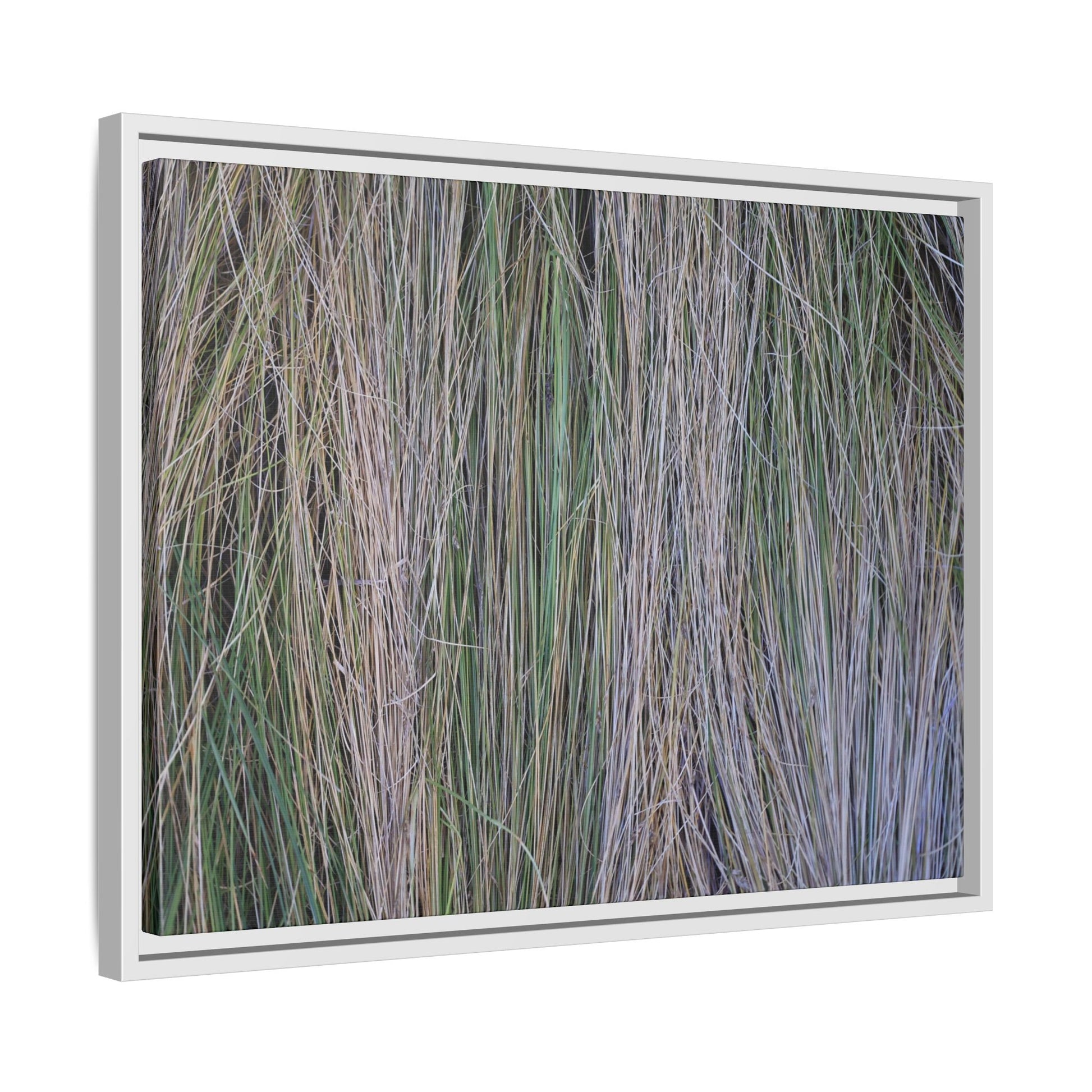 Whispers of Silver Grass - Unique Stretched Canvas Wall Art - Art By Earth