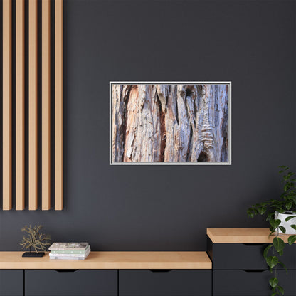 Nature's Grain - Unique Stretched Canvas Wall Art - Art By Earth