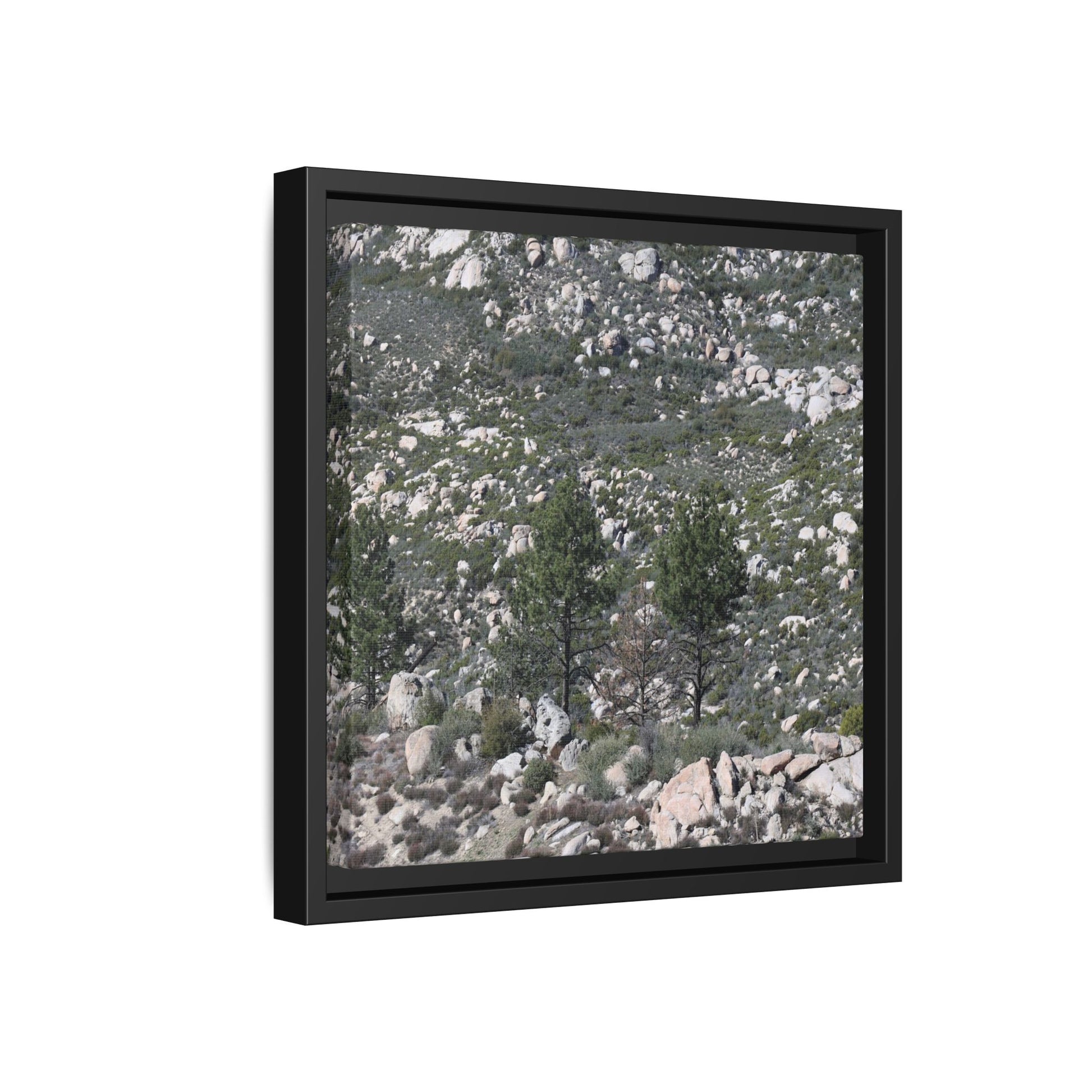 Rocky Hillside with Pine Trees - Unique Stretched Canvas Wall Art - Art By Earth
