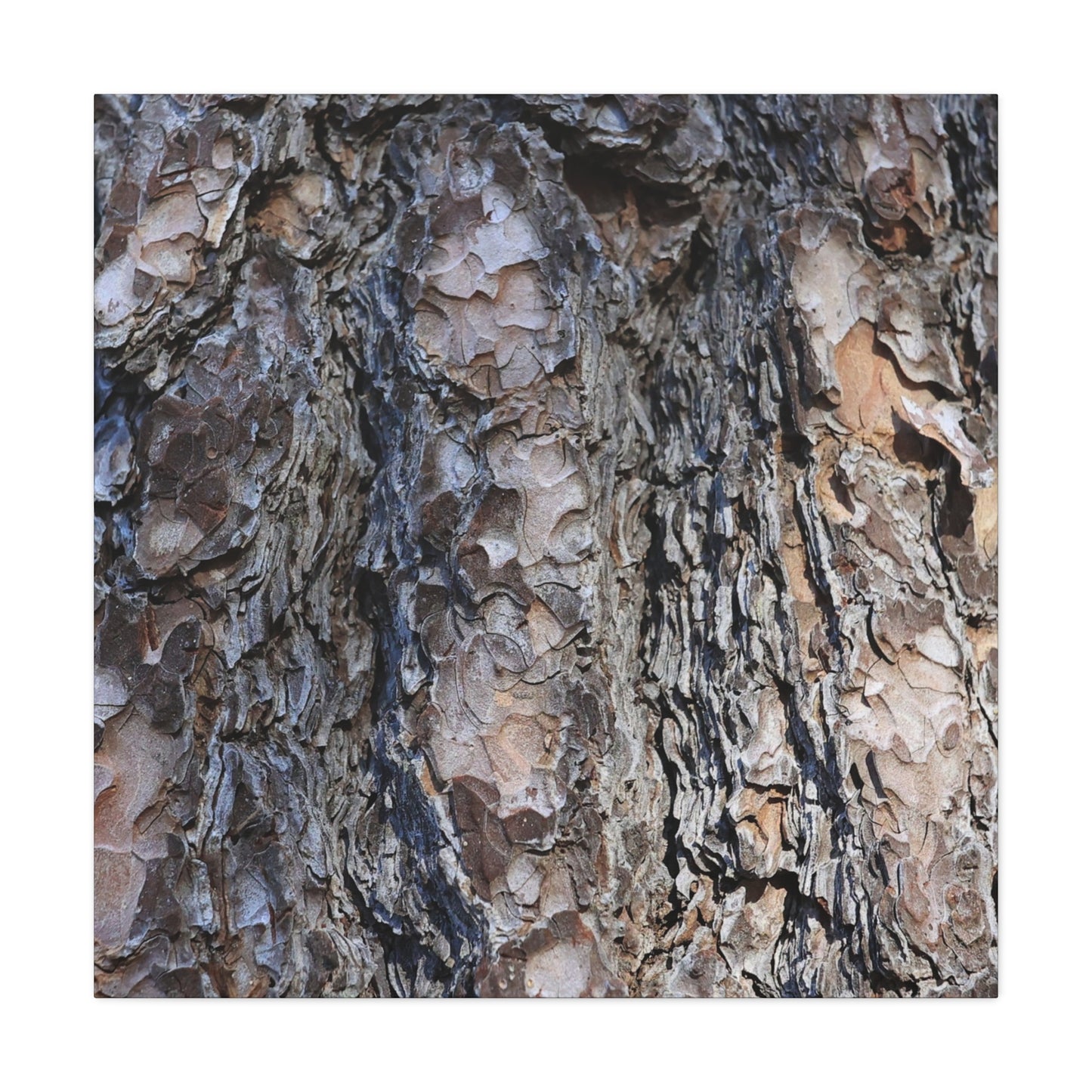 Bark's Rugged Symphony - Unique Frameless Canvas Wall Art - Art By Earth