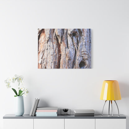 Aged Bark Surface - Unique Frameless Canvas Wall Art - Art By Earth