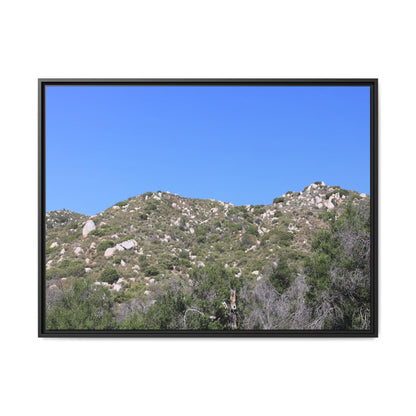 Sparse Vegetation - Unique Stretched Canvas Wall Art