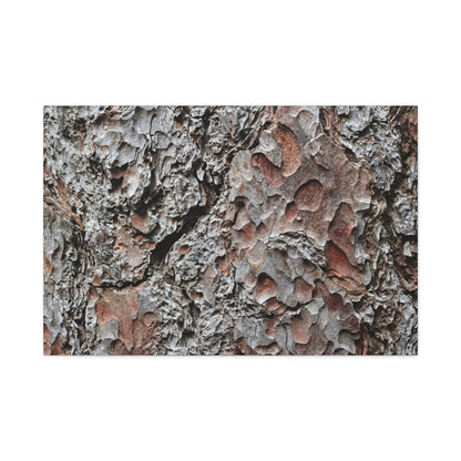 Textured Whispers of Bark - Unique Frameless Canvas Wall Art - Art By Earth