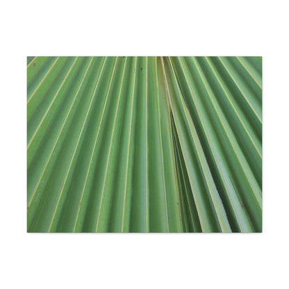 Fan of Green - Unique Frameless Canvas Wall Art - Art By Earth