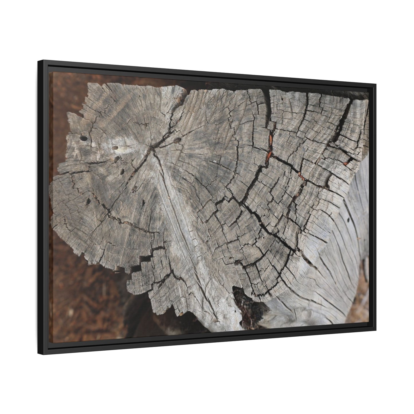 Time's Signature - Unique Stretched Canvas Wall Art - Art By Earth