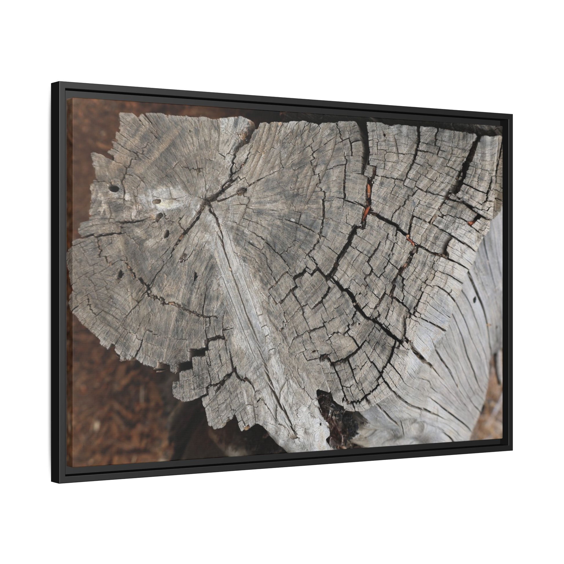 Time's Signature - Unique Stretched Canvas Wall Art - Art By Earth