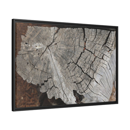 Time's Signature - Unique Stretched Canvas Wall Art - Art By Earth