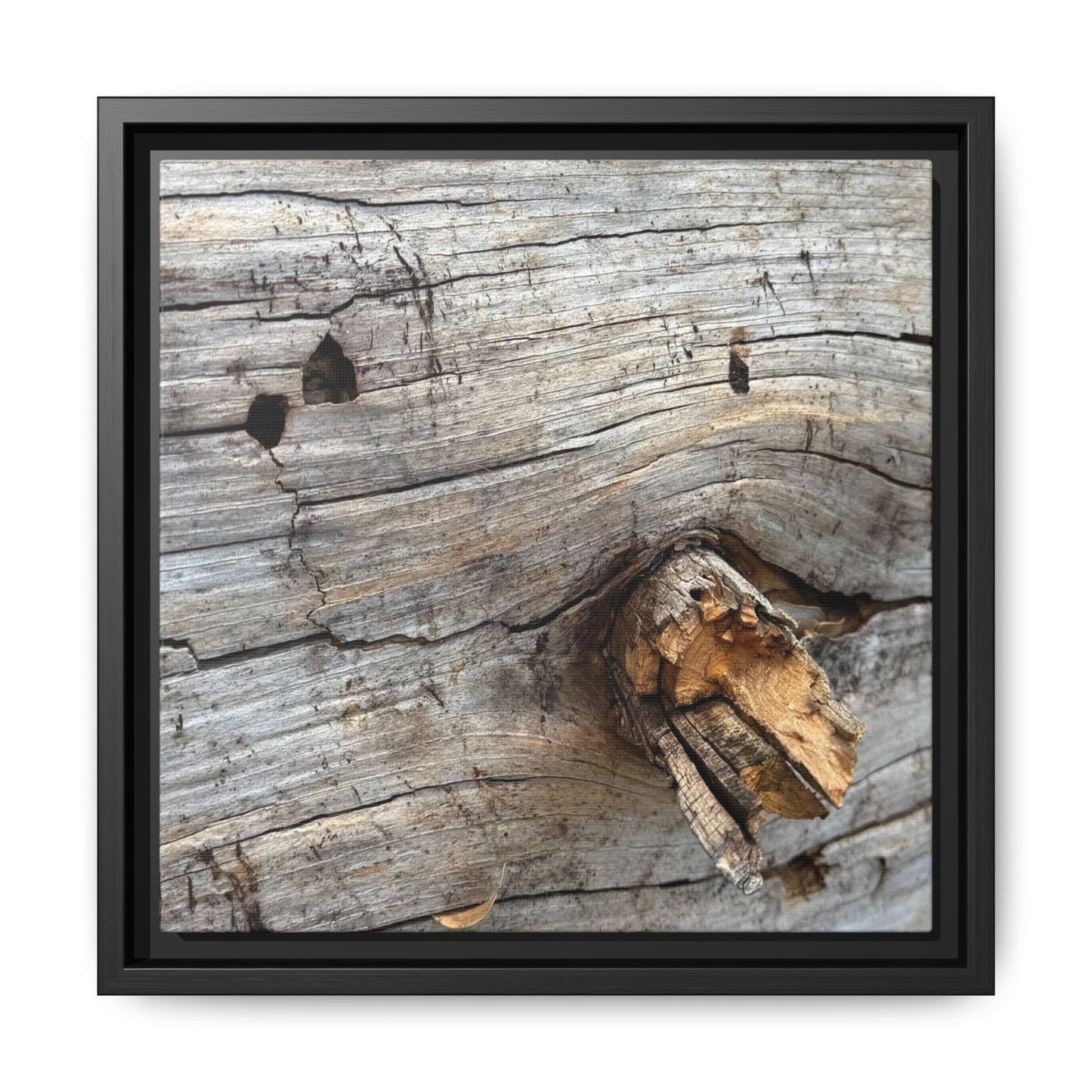 Weathered Wood Texture - Unique Stretched Canvas Wall Art - Art By Earth