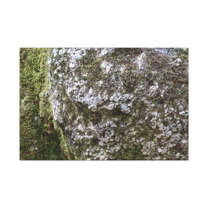 Moss and Stone Whispers - Unique Frameless Canvas Wall Art - Art By Earth