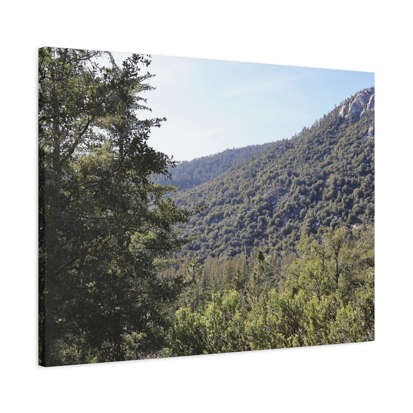 Mountain Vista Through Forest - Unique Frameless Canvas Wall Art
