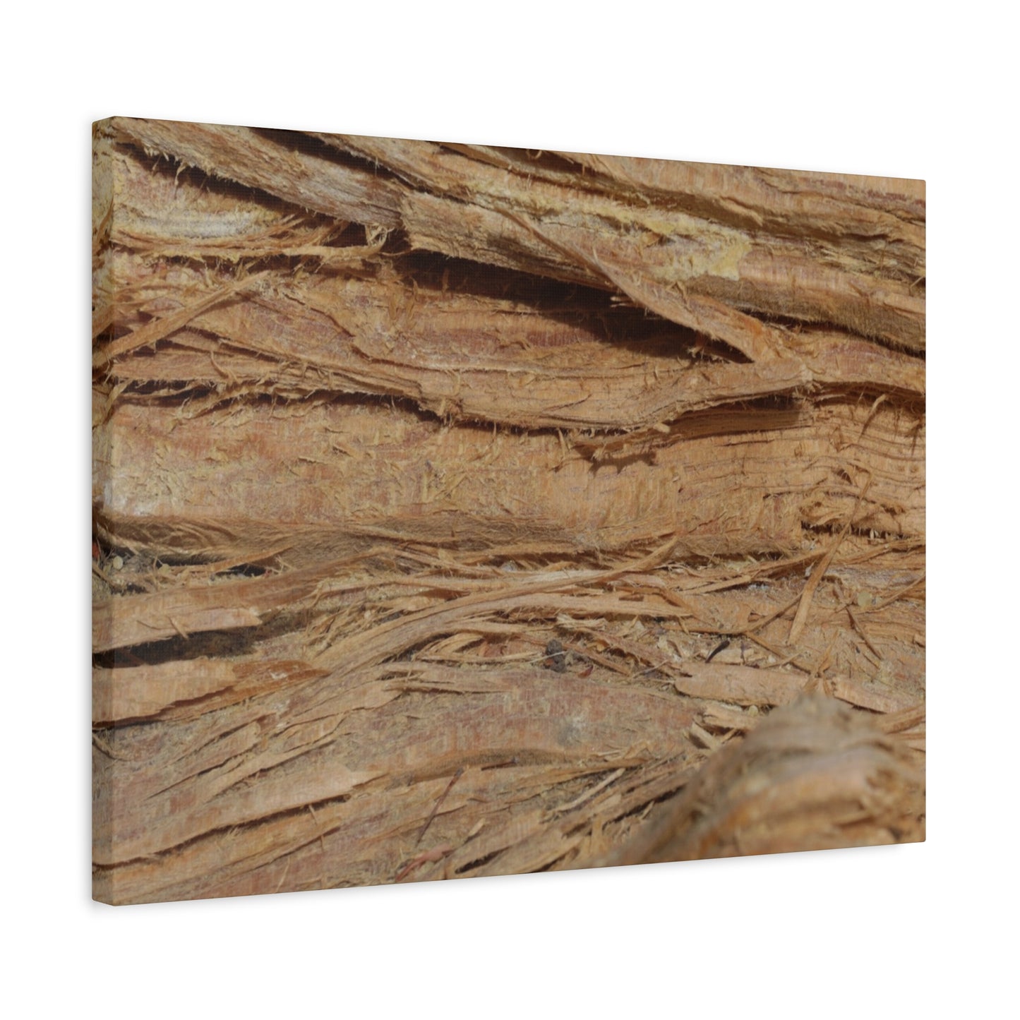 Layers of Memory - Unique Frameless Canvas Wall Art - Art By Earth