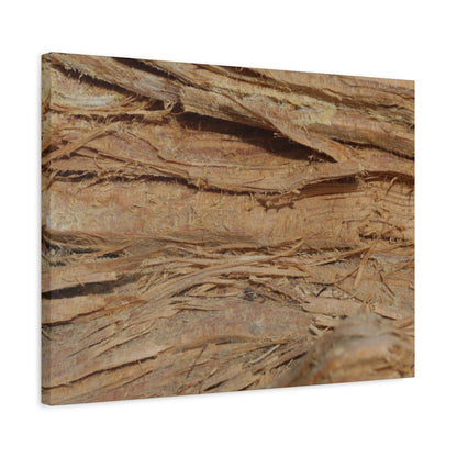 Layers of Memory - Unique Frameless Canvas Wall Art - Art By Earth