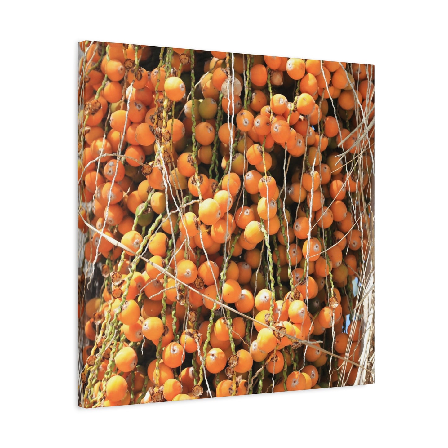 Orange Harvest - Unique Frameless Canvas Wall Art - Art By Earth