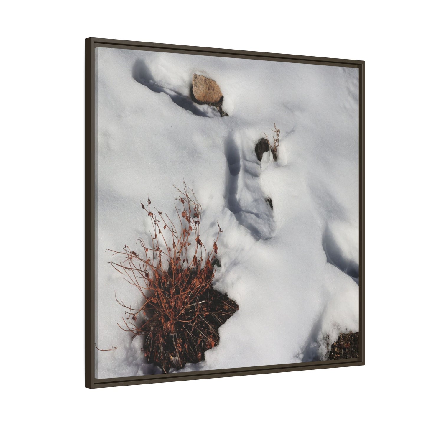 Frostbound Whispers - Unique Stretched Canvas Wall Art
