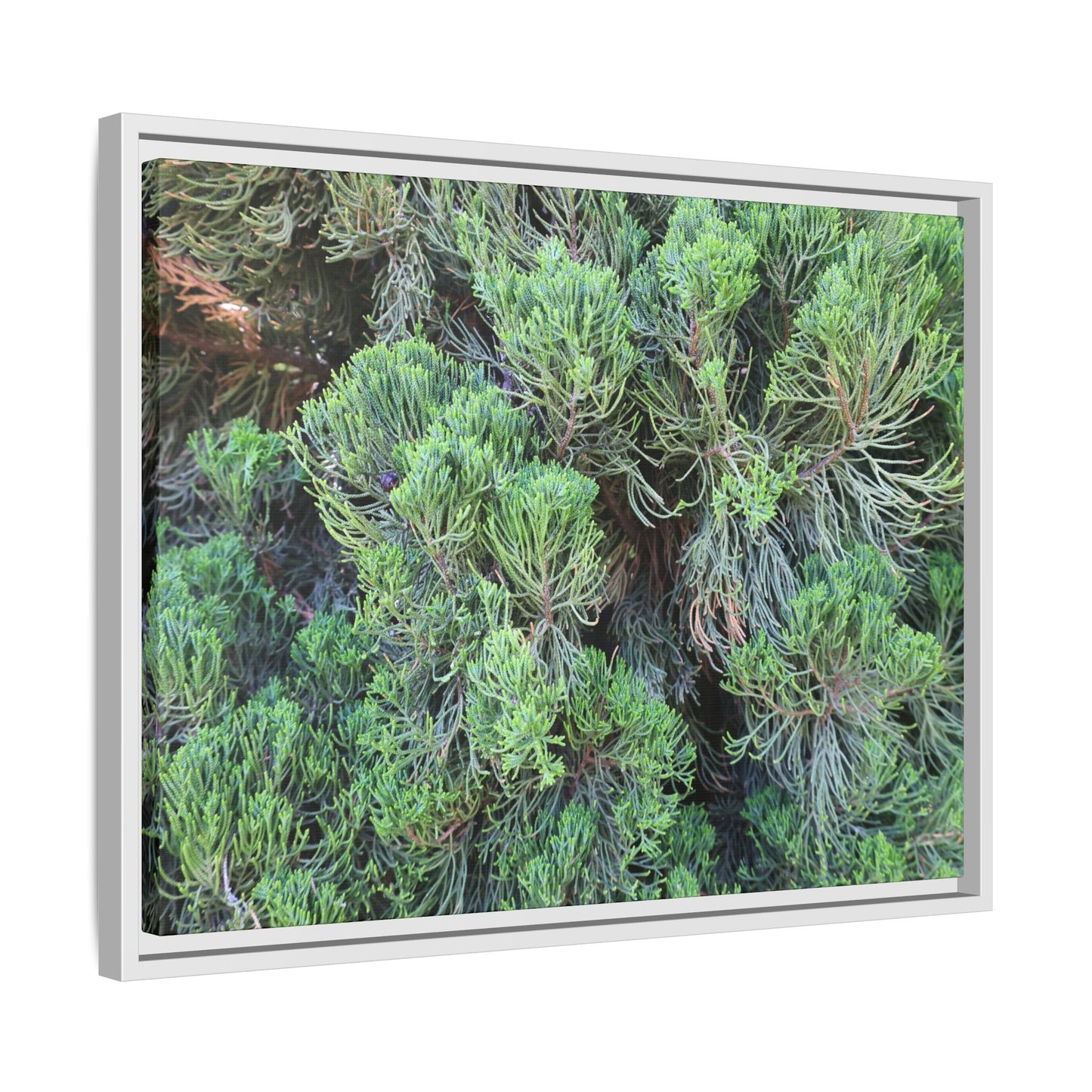 Verdant Whispers - Unique Stretched Canvas Wall Art - Art By Earth