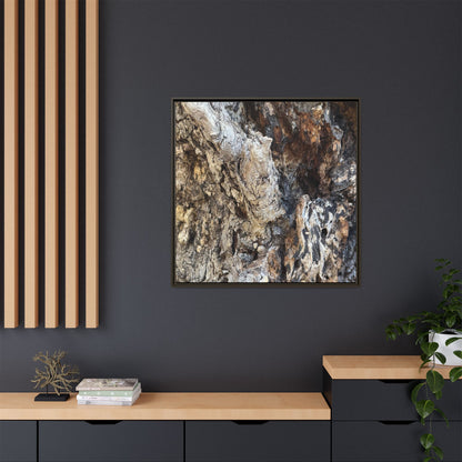 Ancient Tree Texture - Unique Stretched Canvas Wall Art - Art By Earth