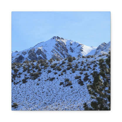 Snowy Peaks and Stoic Pines - Unique Frameless Canvas Wall Art