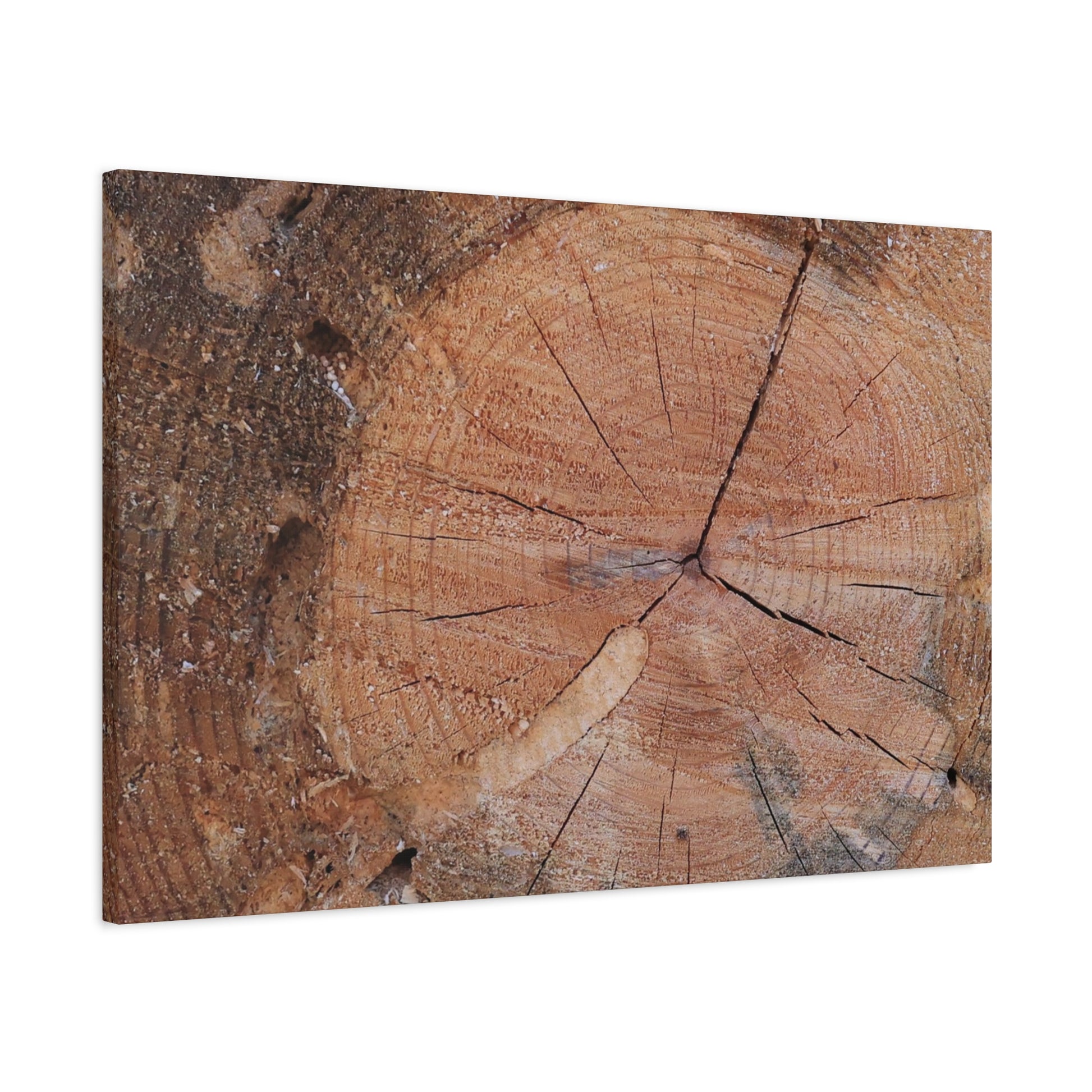 Timber Tale - Unique Frameless Canvas Wall Art - Art By Earth