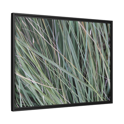 Grassland Symphony - Unique Stretched Canvas Wall Art - Art By Earth