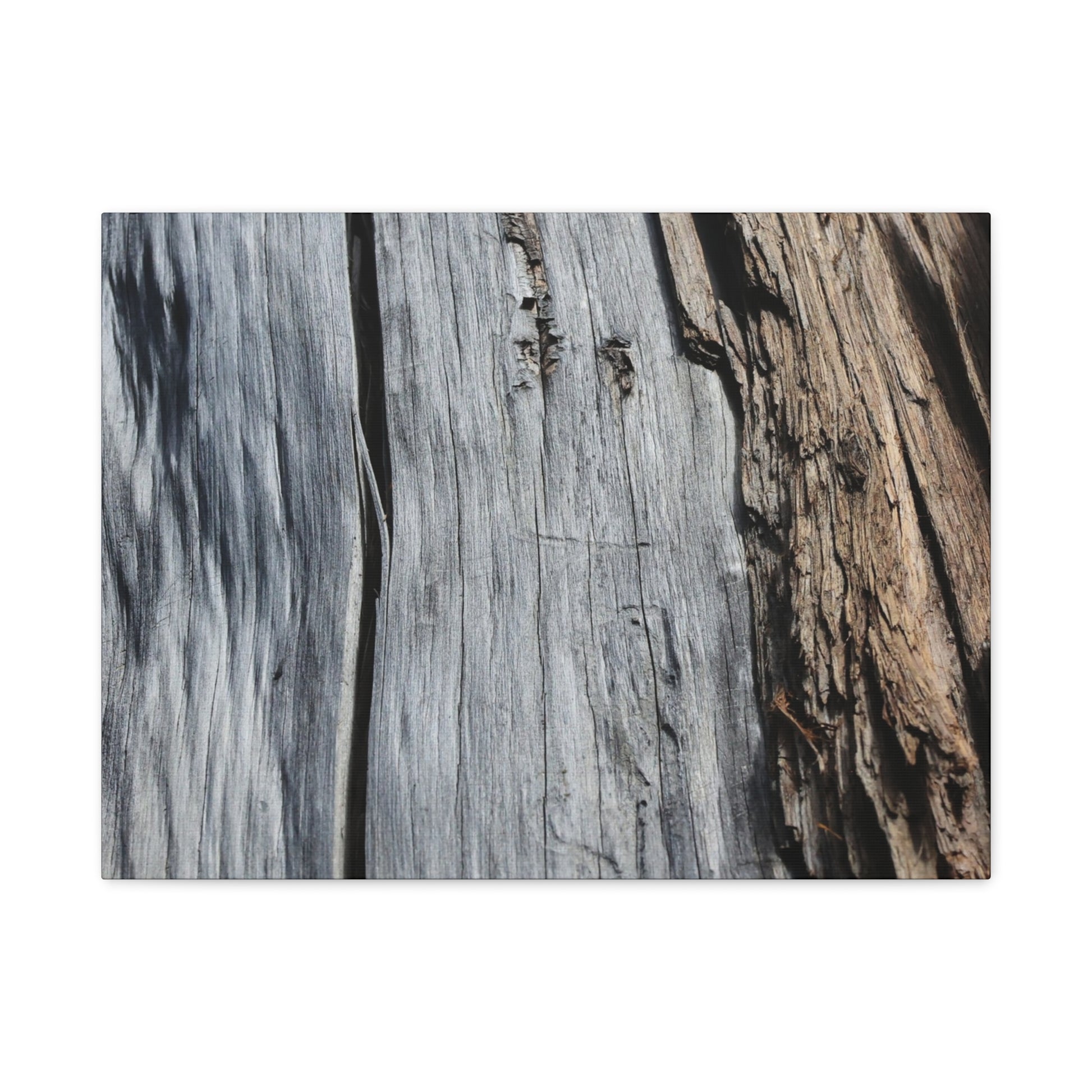 Fracture Lines - Unique Frameless Canvas Wall Art - Art By Earth