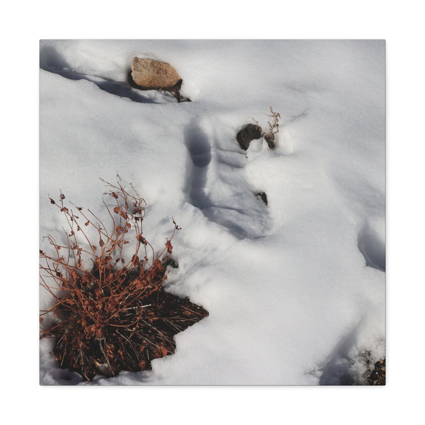 Snow's Tender Embrace - Unique Frameless Canvas Wall Art