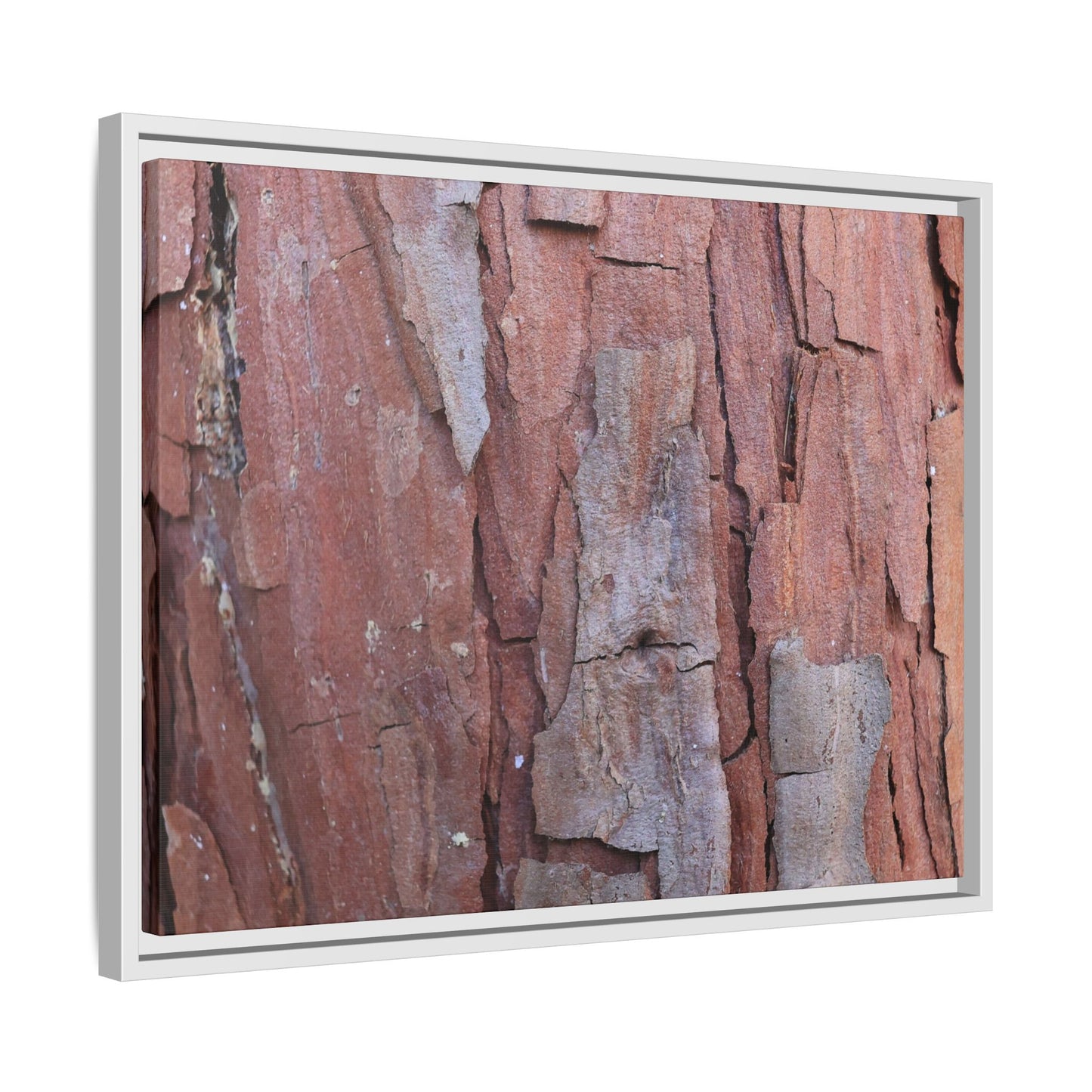 Peeling Bark - Unique Stretched Canvas Wall Art - Art By Earth
