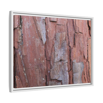 Peeling Bark - Unique Stretched Canvas Wall Art - Art By Earth