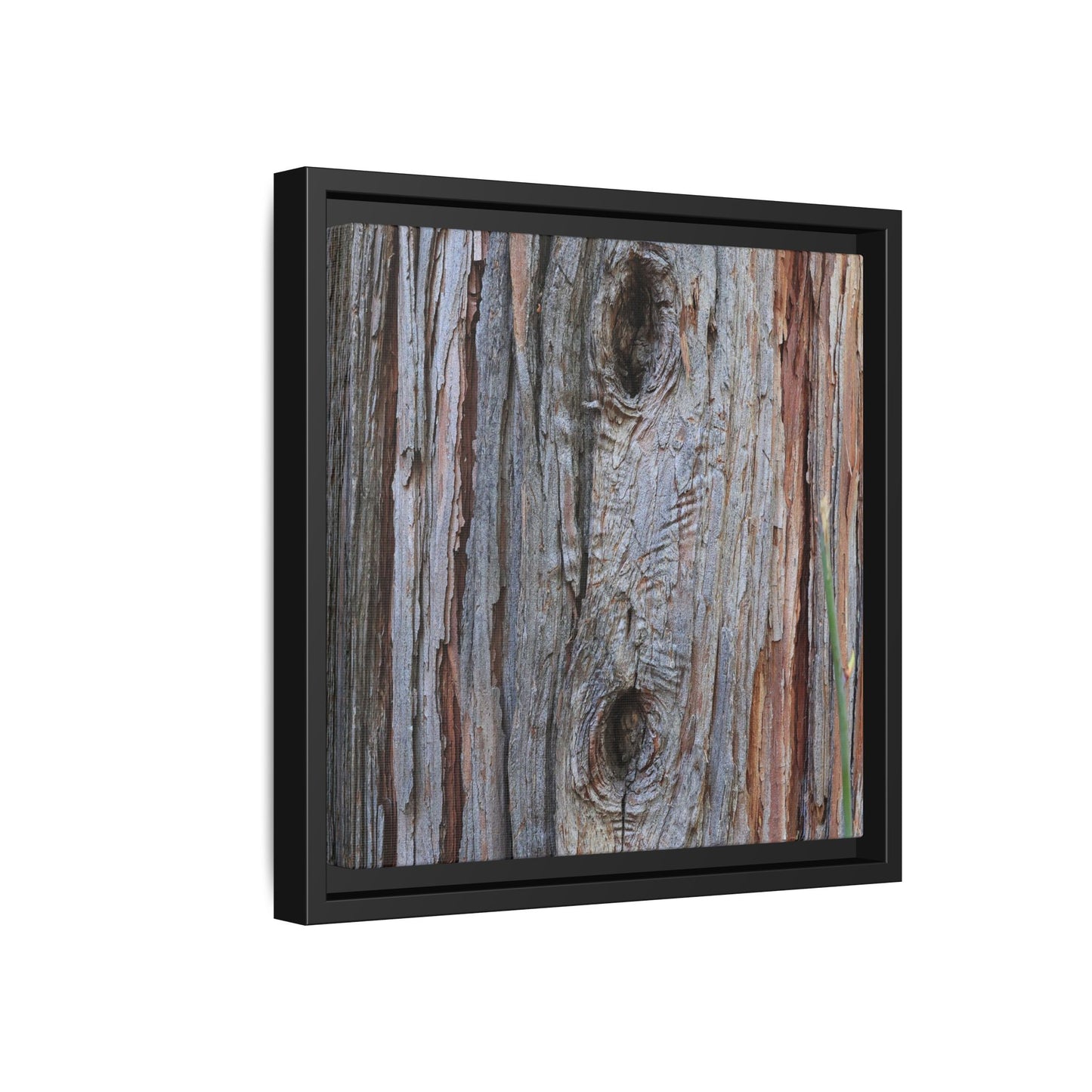 Knotty Nature - Unique Stretched Canvas Wall Art - Art By Earth