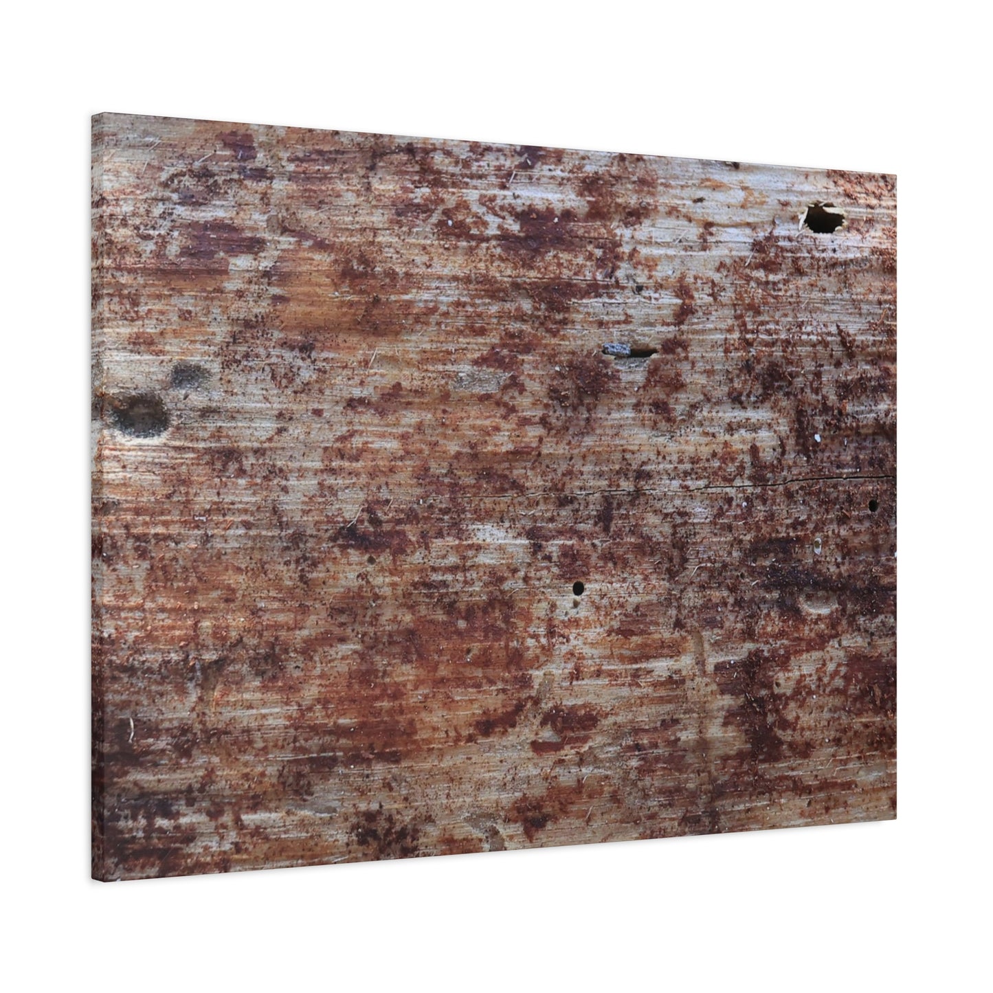 Decaying Memoir - Unique Frameless Canvas Wall Art - Art By Earth