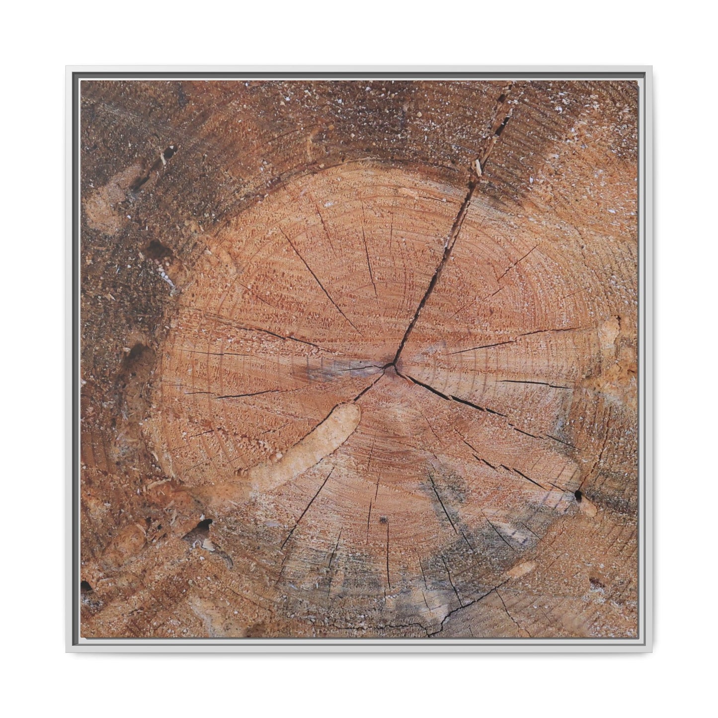 Concentric Memories - Unique Stretched Canvas Wall Art - Art By Earth