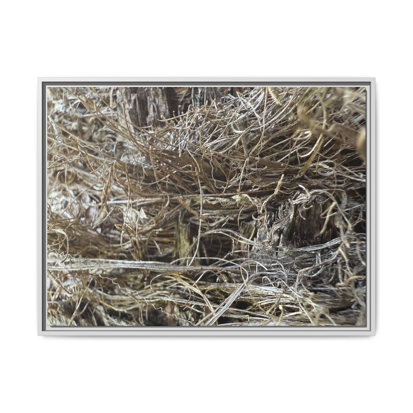 Tangled Whispers of Autumn - Unique Stretched Canvas Wall Art - Art By Earth