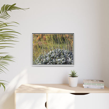 Arid Landscape with Yellow Flowers - Unique Stretched Canvas Wall Art - Art By Earth