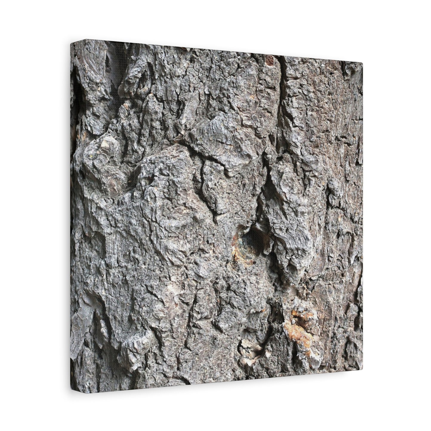 Elemental Canvas - Unique Frameless Canvas Wall Art - Art By Earth