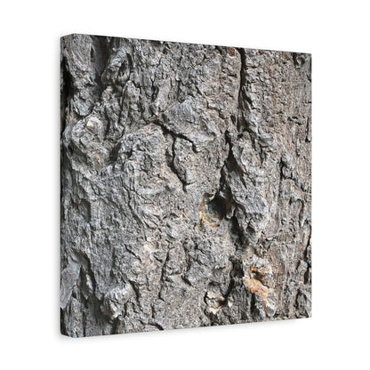 Elemental Canvas - Unique Frameless Canvas Wall Art - Art By Earth