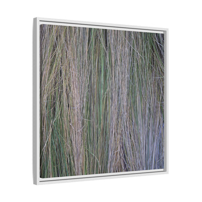 Whispers of Silver Grass - Unique Stretched Canvas Wall Art - Art By Earth