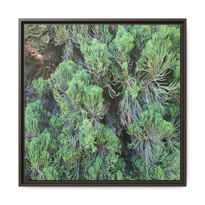 Verdant Whispers - Unique Stretched Canvas Wall Art - Art By Earth