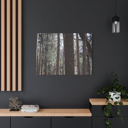 Vertical Sentinels - Unique Frameless Canvas Wall Art - Art By Earth