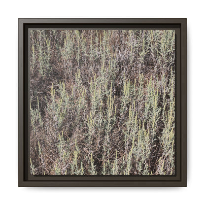 Sage Fields Forever - Unique Stretched Canvas Wall Art - Art By Earth