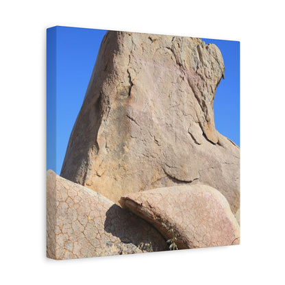Boulder's Embrace - Unique Frameless Canvas Wall Art - Art By Earth