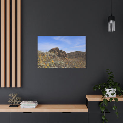 Desert Bloom - Unique Frameless Canvas Wall Art - Art By Earth