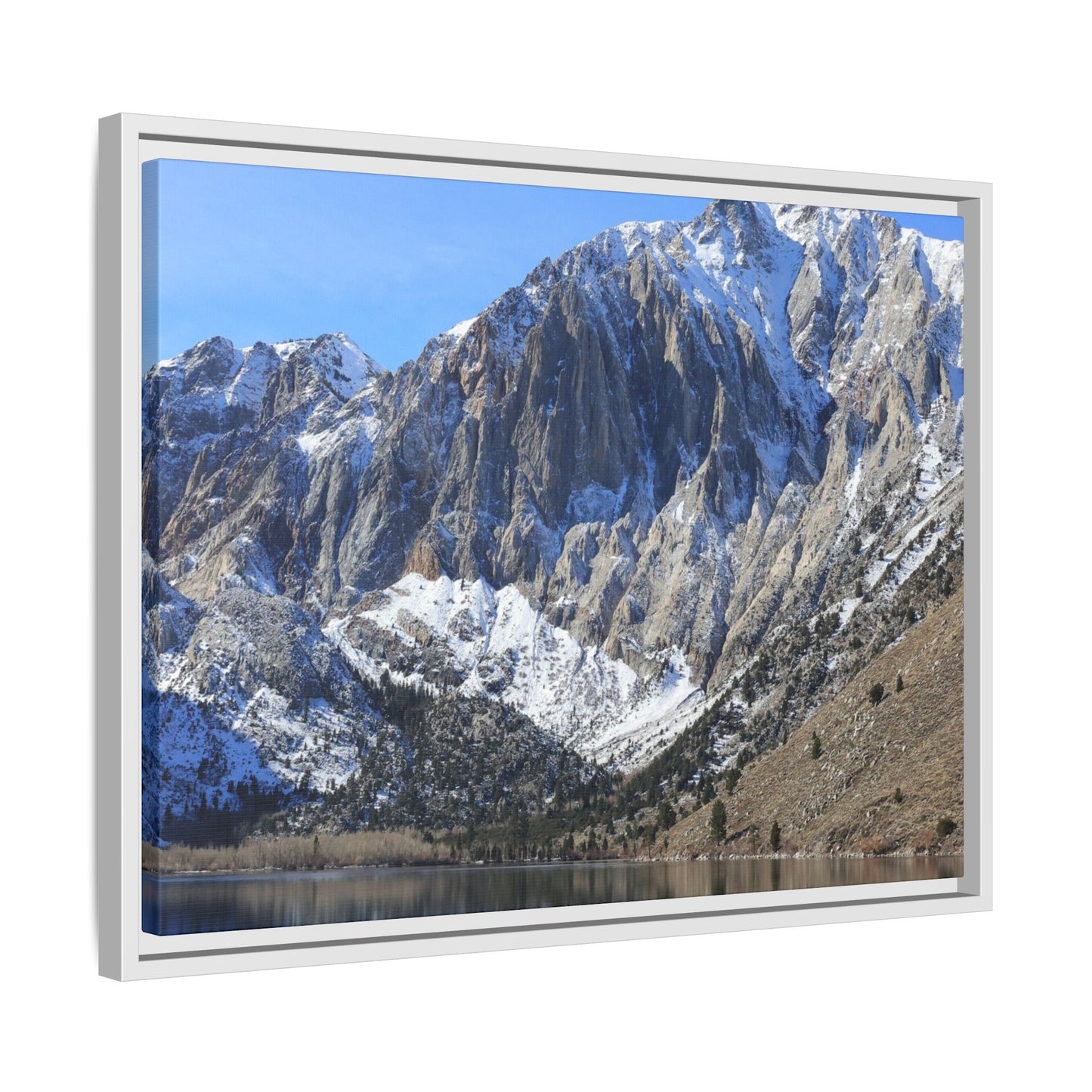 Frozen Reflection - Unique Stretched Canvas Wall Art