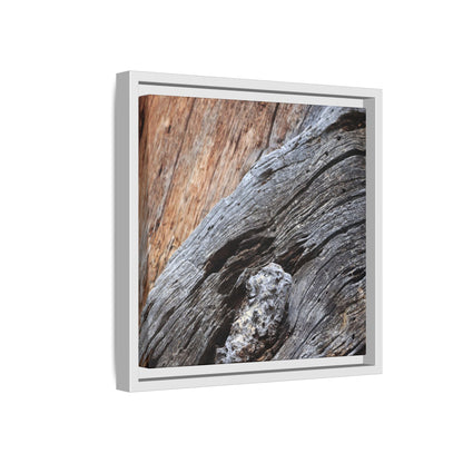 Time's Mark on Timber - Unique Stretched Canvas Wall Art - Art By Earth
