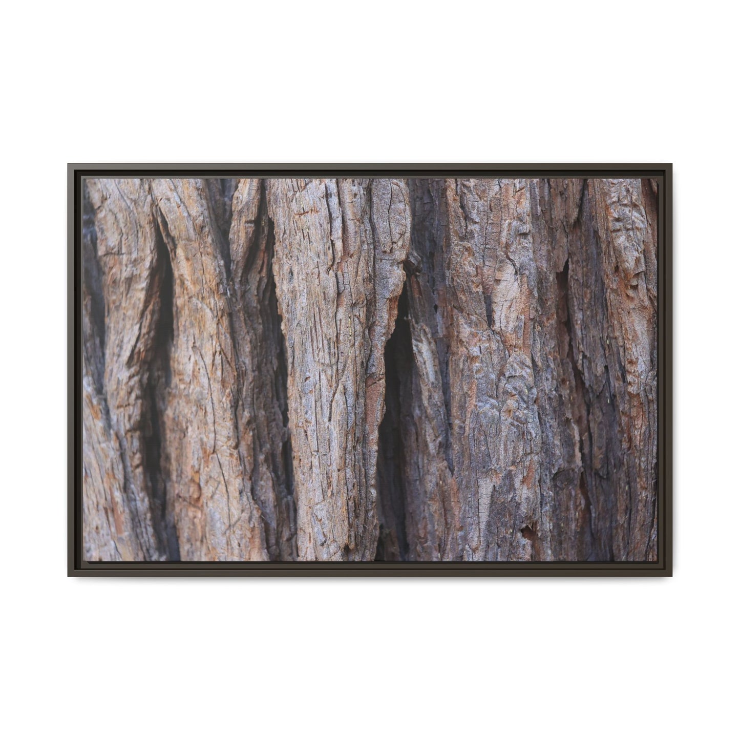 Ancient Grains - Unique Stretched Canvas Wall Art - Art By Earth