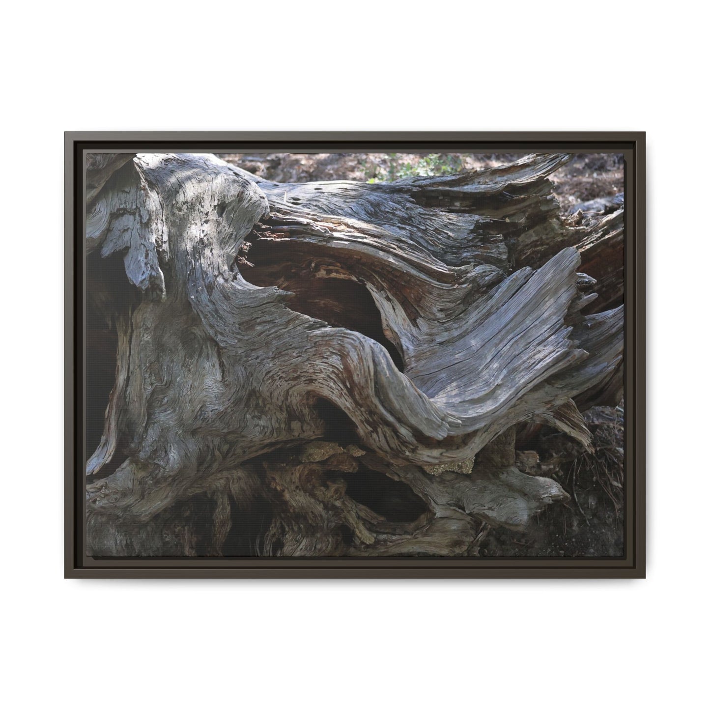 Twisted Memories - Unique Stretched Canvas Wall Art - Art By Earth