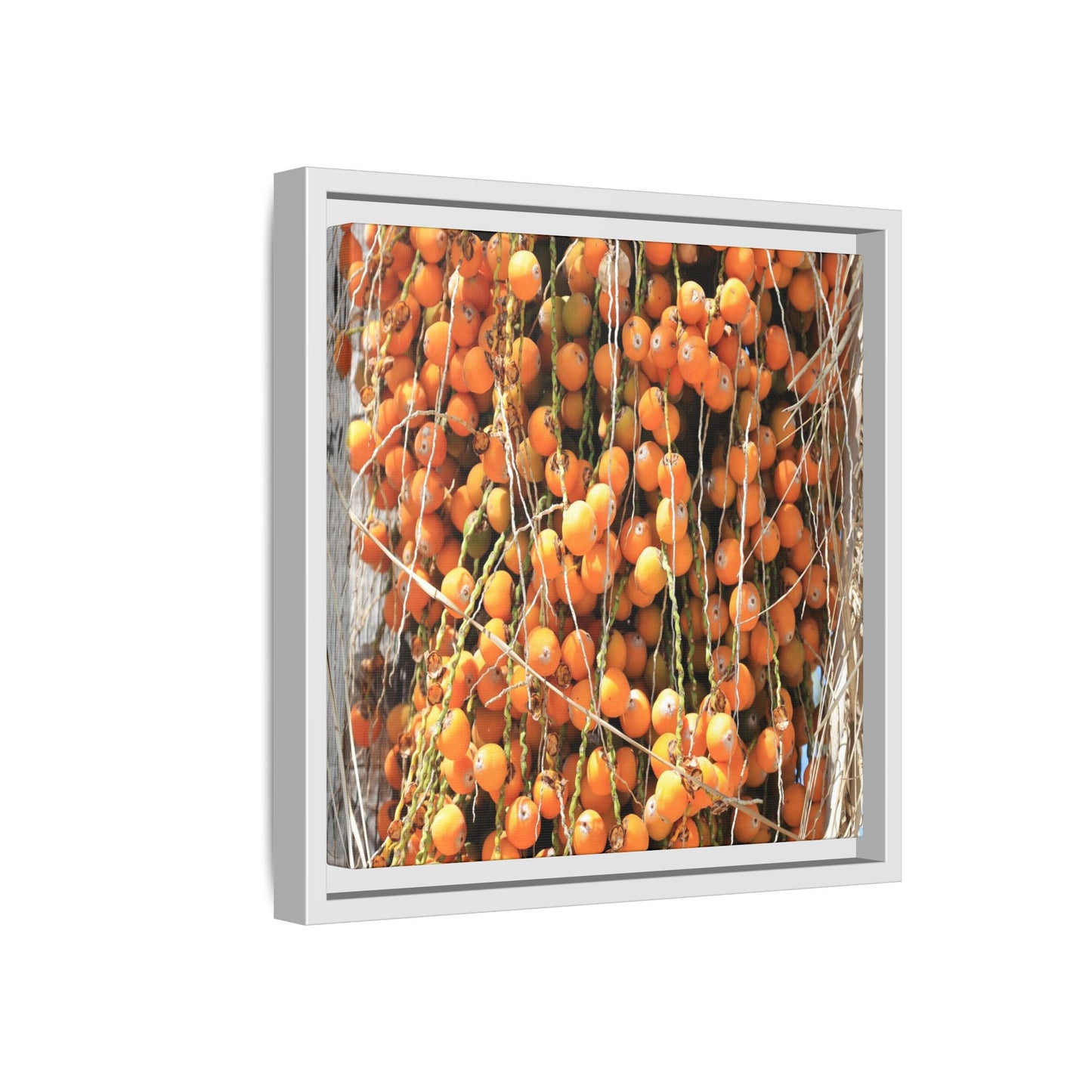 Clusters of Sunlight - Unique Canvas Wall Art - Art By Earth