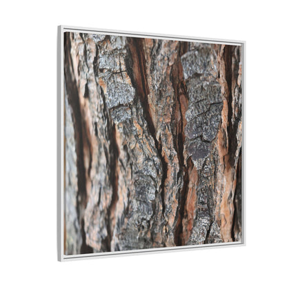 Fractured Nature - Unique Stretched Canvas Wall Art - Art By Earth