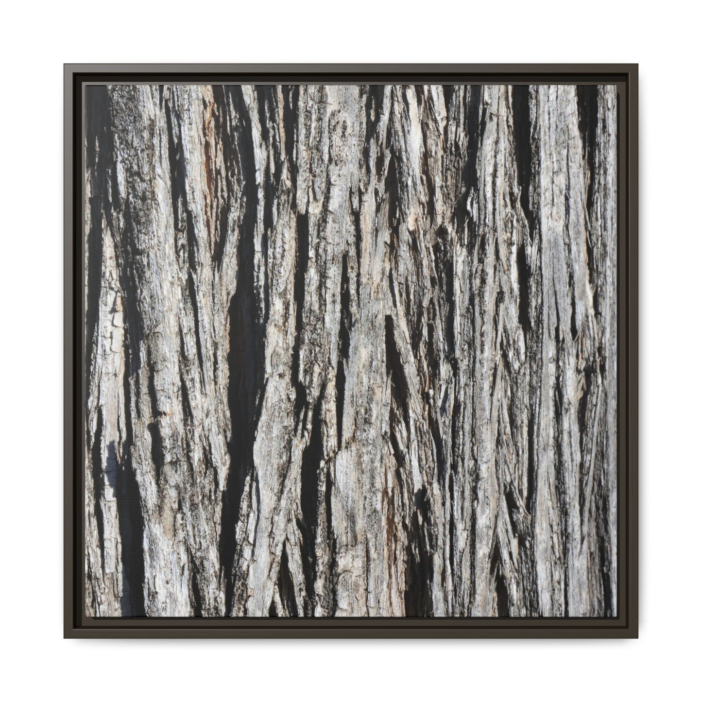 Nature's Abstract - Unique Stretched Canvas Wall Art - Art By Earth